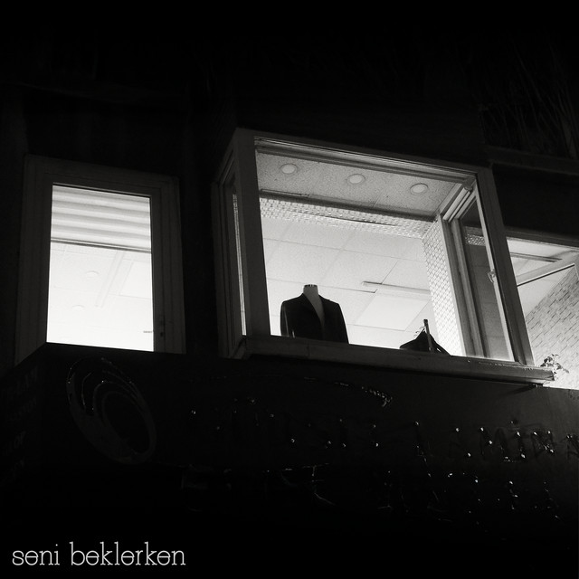Seni Beklerken kapağı